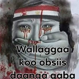 Meet your Posher, Obse